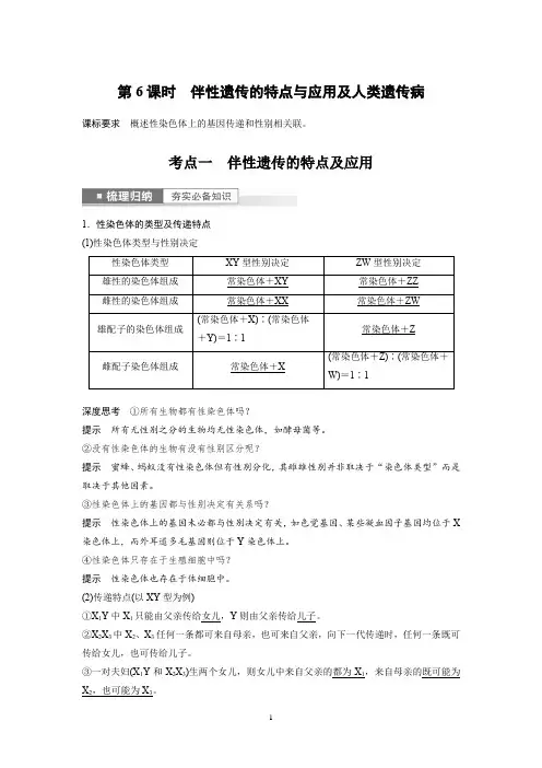 2023年高考生物一轮复习(新人教新高考) 第5单元 第6课时 伴性遗传的特点与应用及人类遗传病