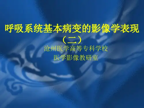 呼吸系统基本病变的影像学表现(新)