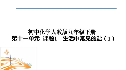 第十一单元课题1生活中常见的盐(1)课件—九年级化学人教版下册