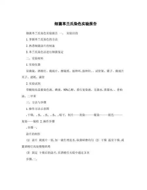 细菌革兰氏染色实验报告