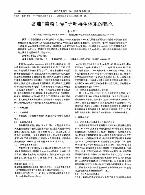 番茄“美粉1号”子叶再生体系的建立