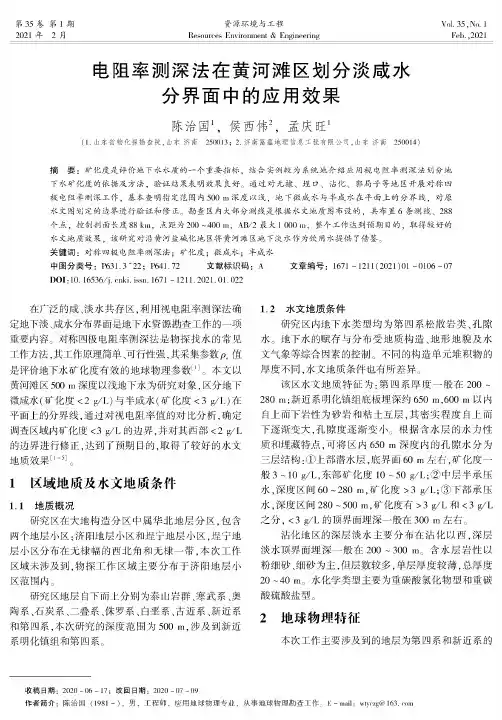 电阻率测深法在黄河滩区划分淡咸水分界面中的应用效果