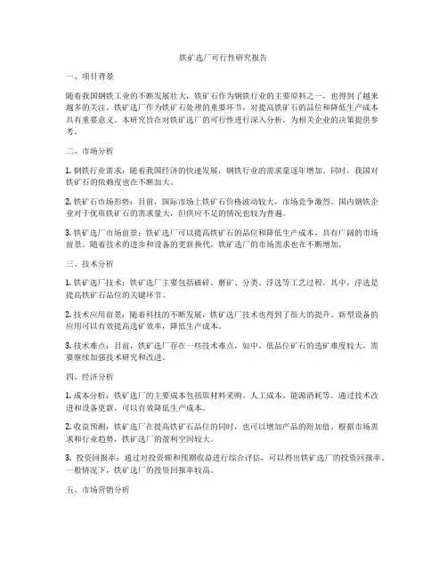 铁矿选厂可行性研究报告