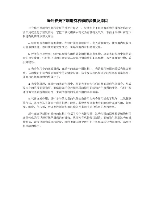 绿叶在光下制造有机物的步骤及原因