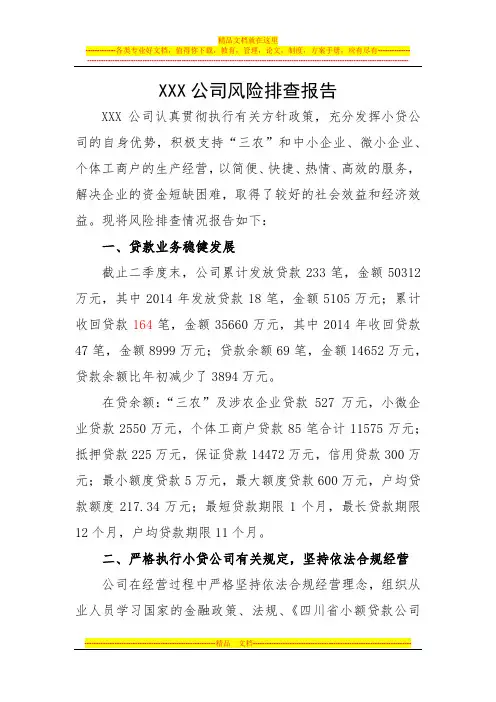 小额贷款公司风险排查报告