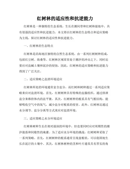 红树林的适应性和抗逆能力