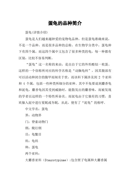 蛋龟的品种简介