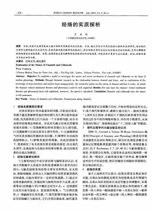 经络的实质探析