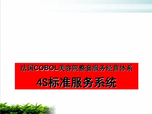 美容院整套服务经营体系4S标准服务系统教材PPT模版