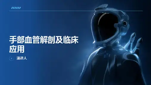 手部血管解剖及临床应用