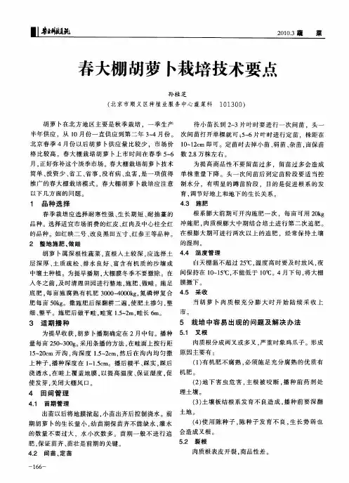 春大棚胡萝卜栽培技术要点