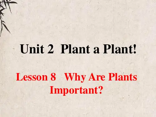 临清市某中学八年级英语下册Unit2PlantaPlantLesson8WhyArePlantsIm