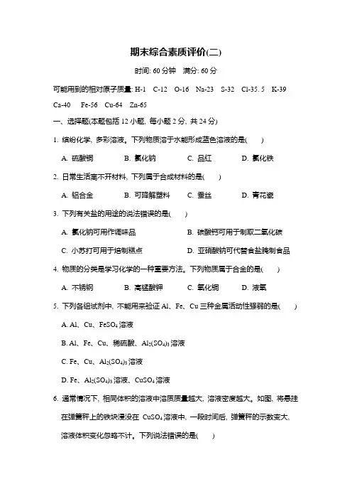2025年春人教九年级化学下册 期末综合素质评价(二)(含答案)