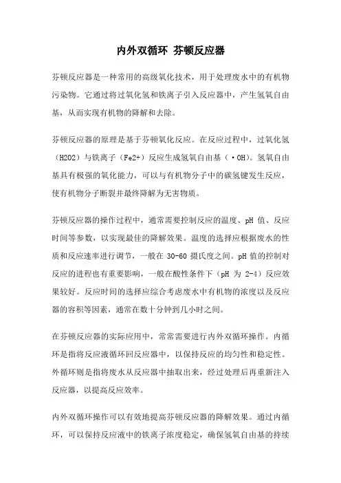 内外双循环 芬顿反应器