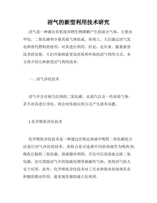 沼气的新型利用技术研究