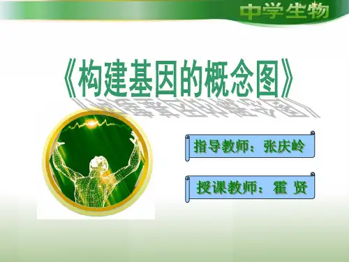 基因概念图