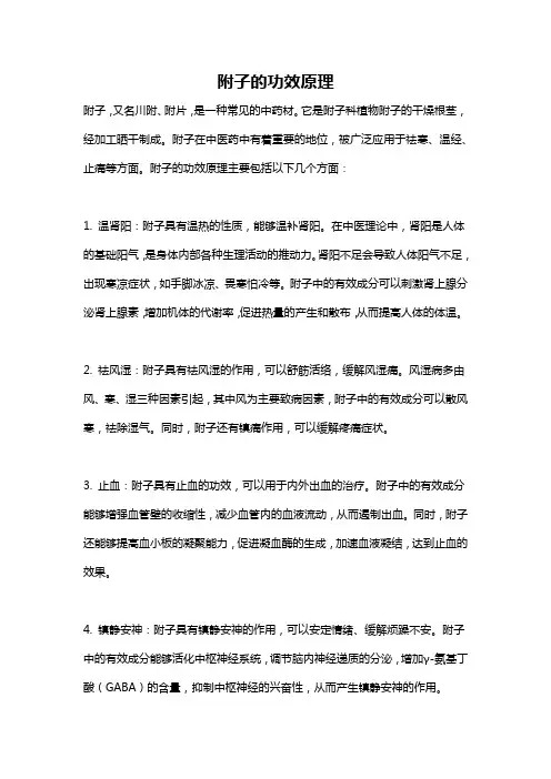 附子的功效原理