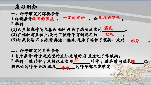 人教版七年级生物上册  3.2.2植株的生长(27张PPT)