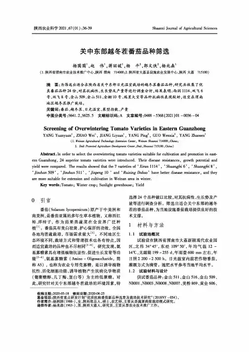 关中东部越冬茬番茄品种筛选