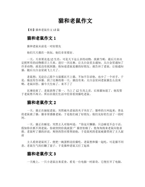 猫和老鼠作文