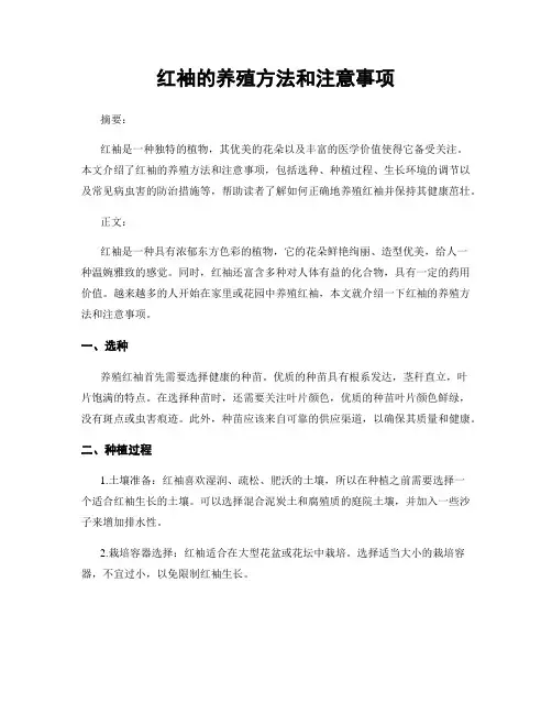 红袖的养殖方法和注意事项