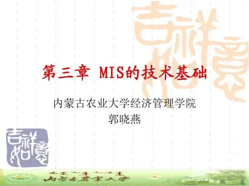 第三章 MIS的技术基础
