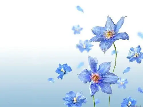 三年级下数学课件统计人教新课标