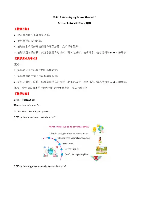 初中英语九年级 Unit 13 Section B (3a-self check)教案