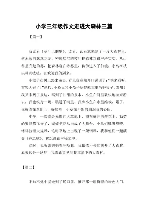 小学三年级作文走进大森林三篇