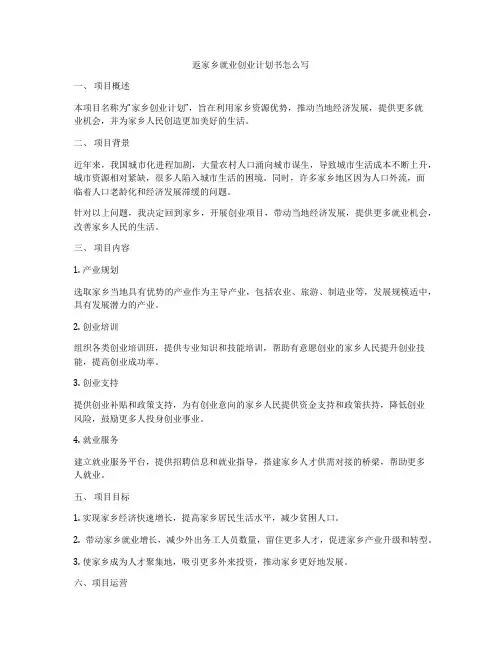 返家乡就业创业计划书怎么写