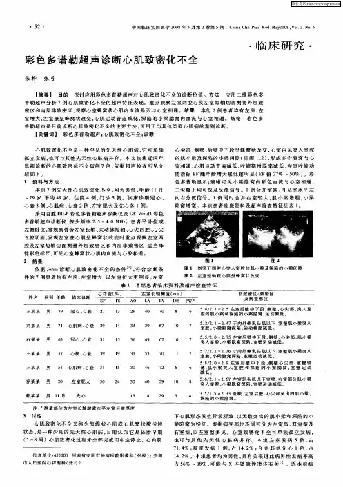 彩色多谱勒超声诊断心肌致密化不全