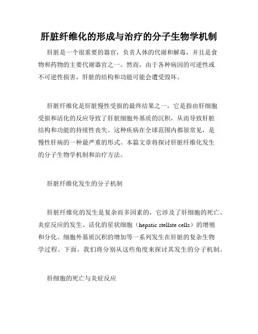 肝脏纤维化的形成与治疗的分子生物学机制