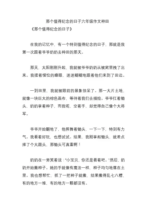 那个值得纪念的日子六年级作文种田