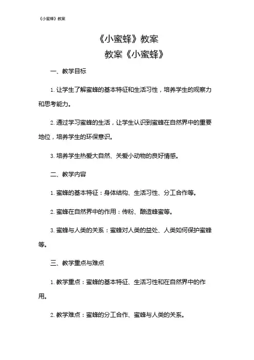 《小蜜蜂》教案