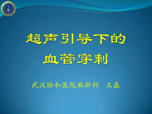 超声引导下的动静脉穿刺