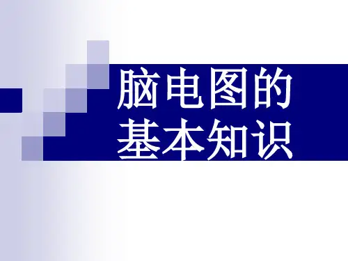 脑电图的基本知识