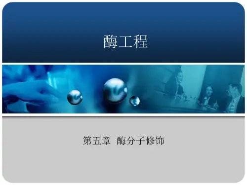 酶工程 第五章