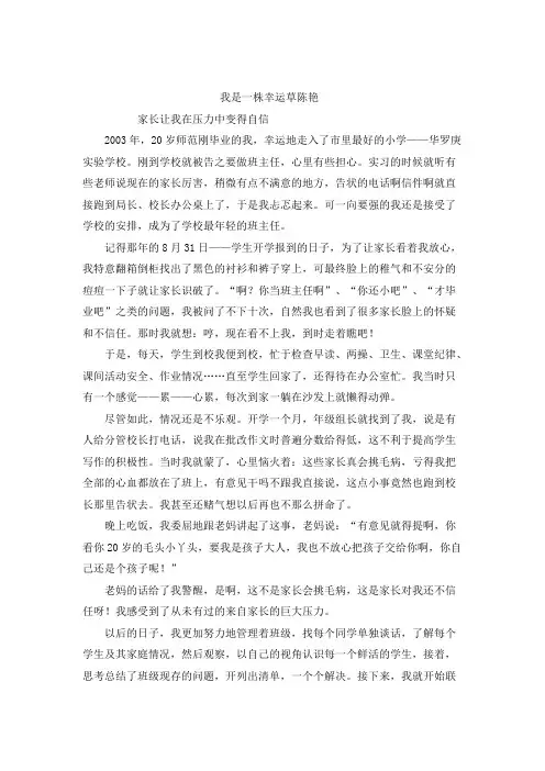 班主任专业成长案例故事