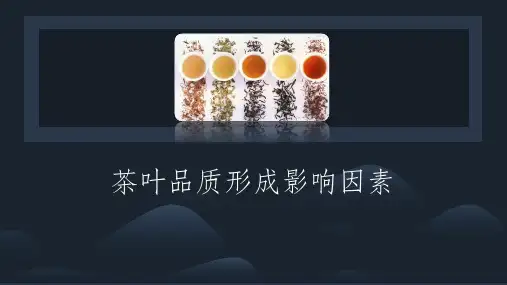 茶叶审评技术：茶叶品质形成影响因素
