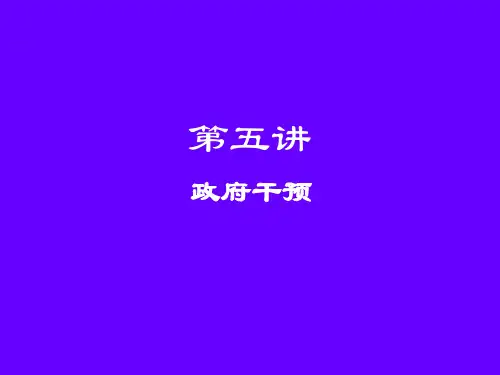 微观经济学  第五讲  政府干预