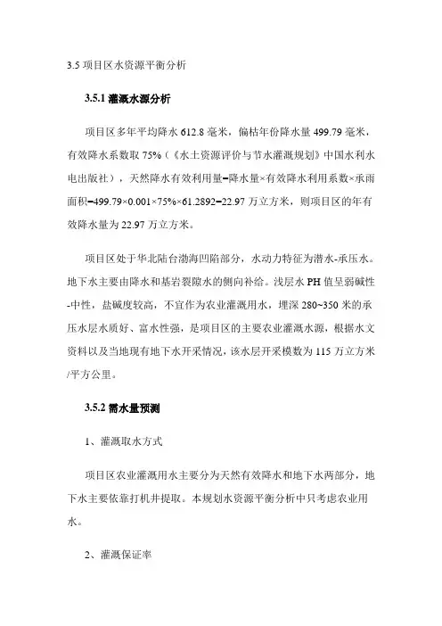 项目区水资源平衡分析
