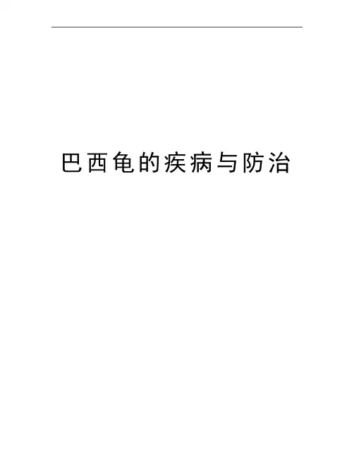 最新巴西龟的疾病与防治