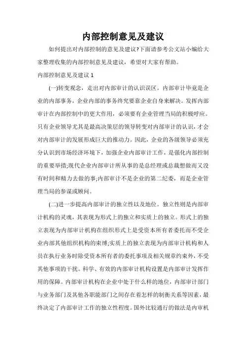  内部控制意见及建议