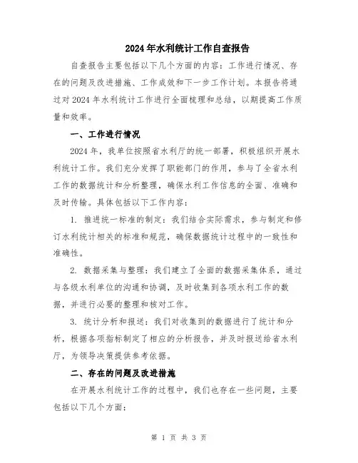 2024年水利统计工作自查报告