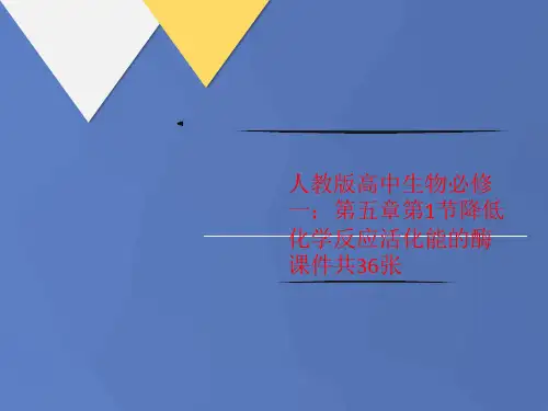 人教版高中生物必修一：第五讲义章第1节降低化学反应活化能的酶课件共36张