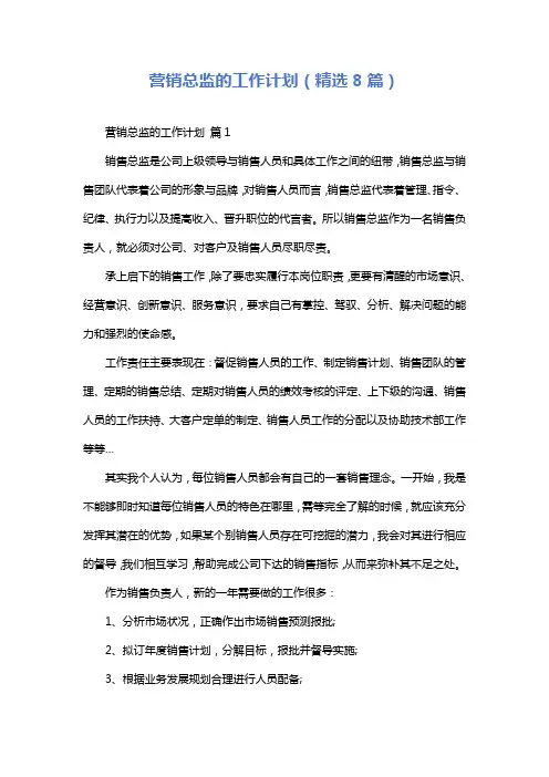 营销总监的工作计划(精选8篇)