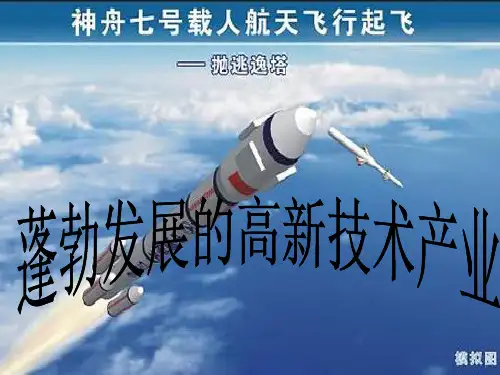 蓬勃发展的高新技术产业ppt课件