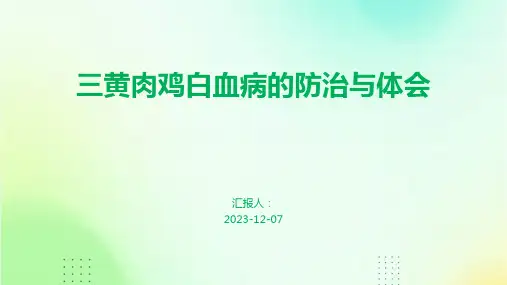 三黄肉鸡白血病的防治与体会