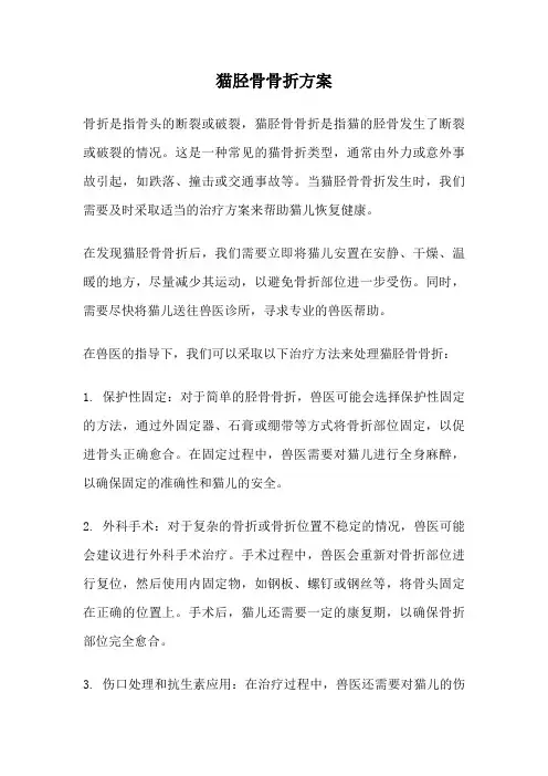 猫胫骨骨折方案