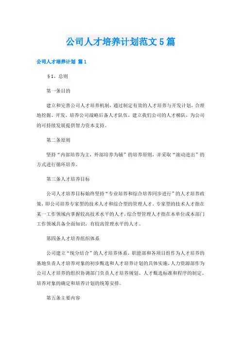公司人才培养计划范文5篇